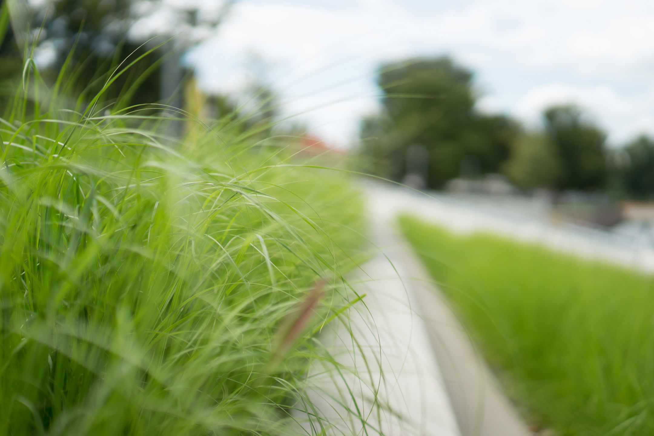 Samyang AF 50 mm f/1.4 FE - wreszcie z autofokusem! [recenzja] 30