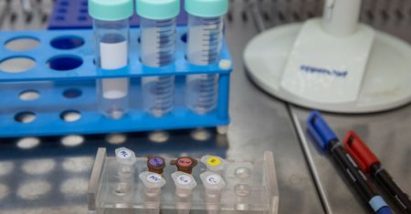 Koronawirus. Płyn do płukania jamy ustnej zabija COVID-19? Naukowcy nie mają watpliwości