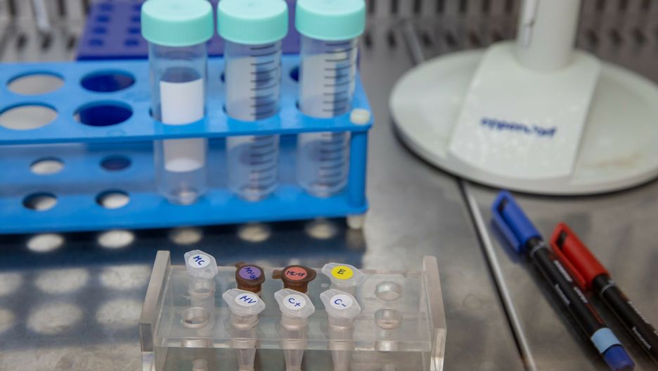 Koronawirus. Z badań naukowców wynika, że płyny do płukania ust są w stanie zwalczać koronawirusa nawet w 15 sekund/ foto ilustracyjne