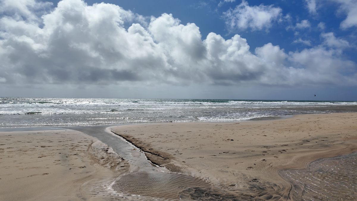 Sotavento: plaża i ocean. Kadr z filmu