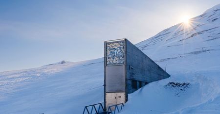 Współczesna Arka Noego. Norweski bunkier ma przetrwać zagładę