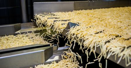 Polska fabryka frytek wstrzymuje produkcję. "Za mało zamówień"