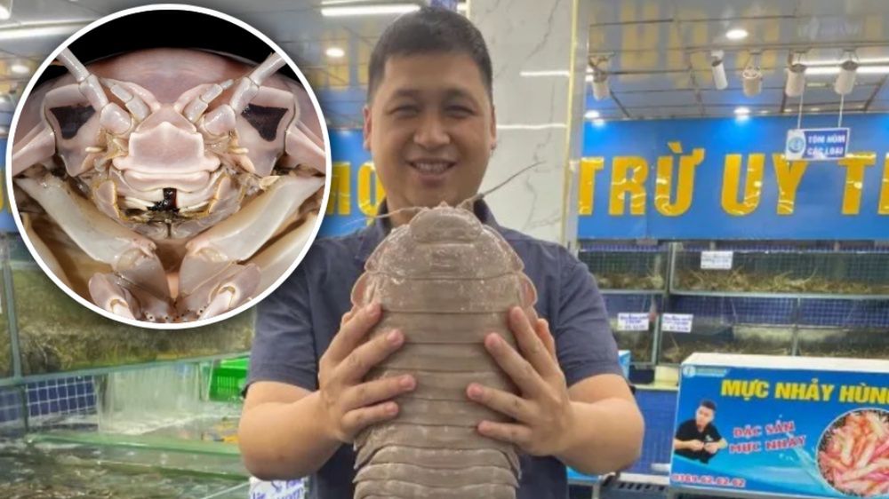 Dr Nguyen Thanh Son trzyma okaz. Zdjęcie: Peter Ng/"ZooKeys"