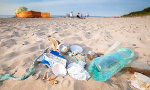 Dzień Ziemi. Jak dużo wiesz o naszej planecie?