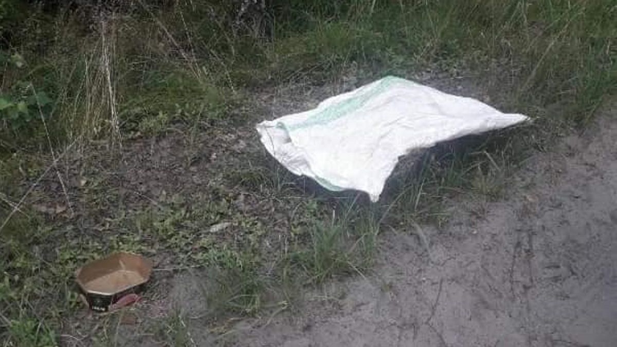 W lesie niedaleko Rojewa (gm. Grodzisk Wielkopolski) znaleziono zawiązanego w worku psa. 