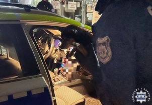 W sylwestrową noc pomogli wystraszonemu i zmarzniętemu czworonogowi
