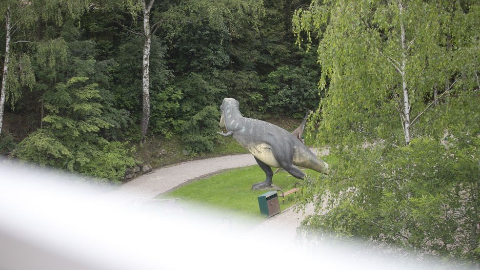 Kładka nad Kotliną Dinozaurów w Chorzowie już otwarta.