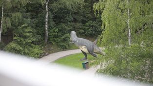 Nowa atrakcja w śląskim ZOO. Kładka nad Kotliną Dinozaurów już otwarta