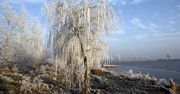 Nadciąga atak zimy. Temperatura spadnie nawet do -4 stopni