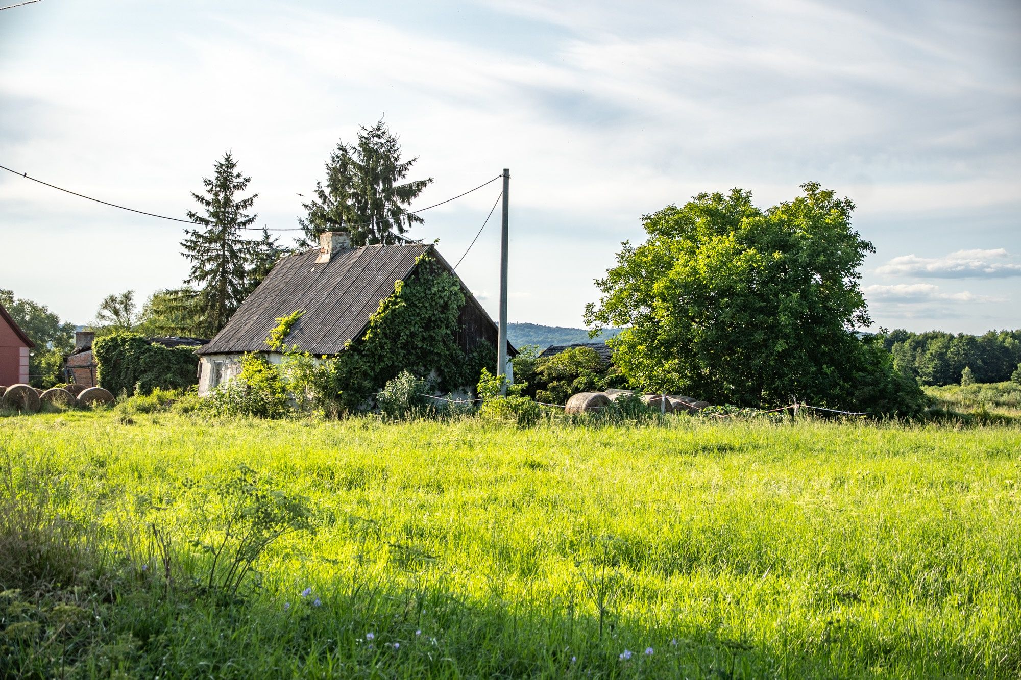 Współczesny wiejski krajobraz Żuławki z zabudową