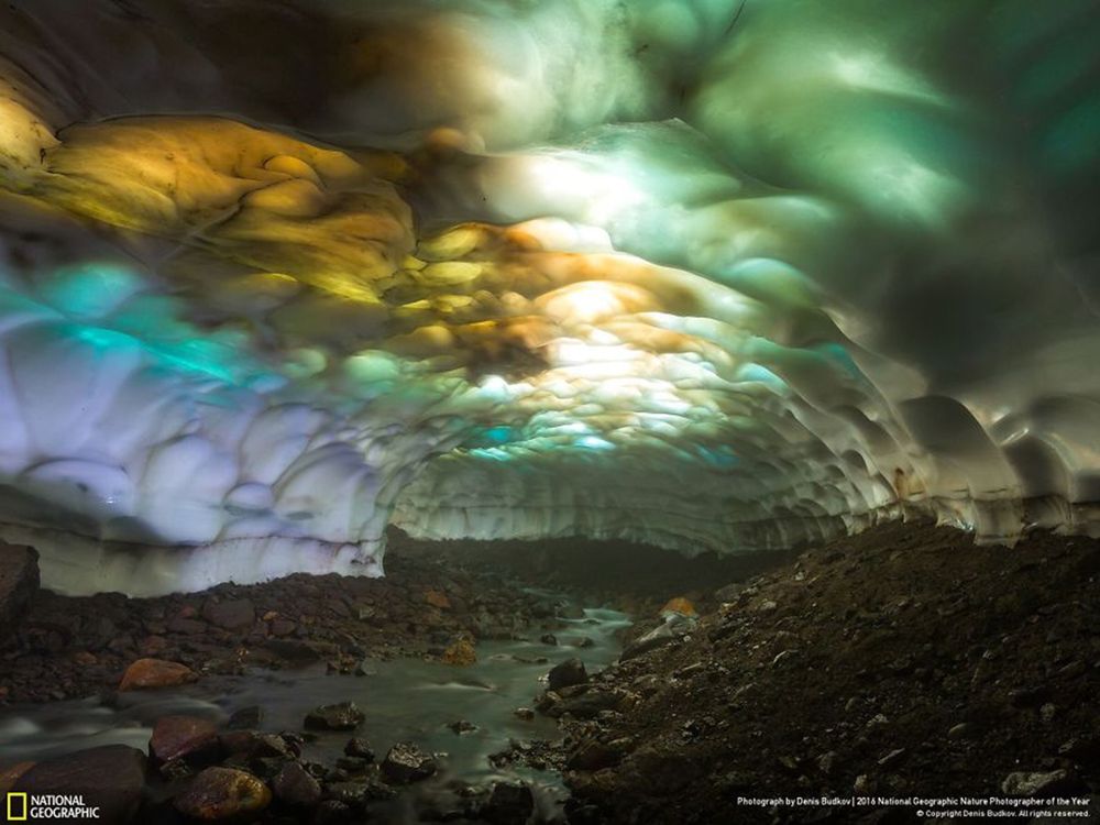 Fotografie natury, która nie przestaje zachwycać. Oto finałowe prace konkursu National Geographic Nature Photographer of the Year 2016 23