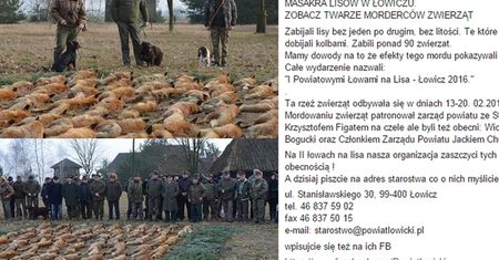 Myśliwi chwalą się zabitymi lisami na Facebooku. Leśny Patrol: "MORDERCY I ZWYROLE!"