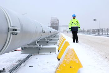 Niemcy mają bardzo niskie rezerwy gazu. "Istnieje realne ryzyko"
