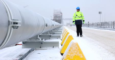 Niemcy mają bardzo niskie rezerwy gazu. "Istnieje realne ryzyko"