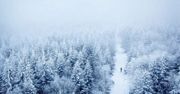 Koniec z białymi zimami? Złe wieści od polskich naukowców
