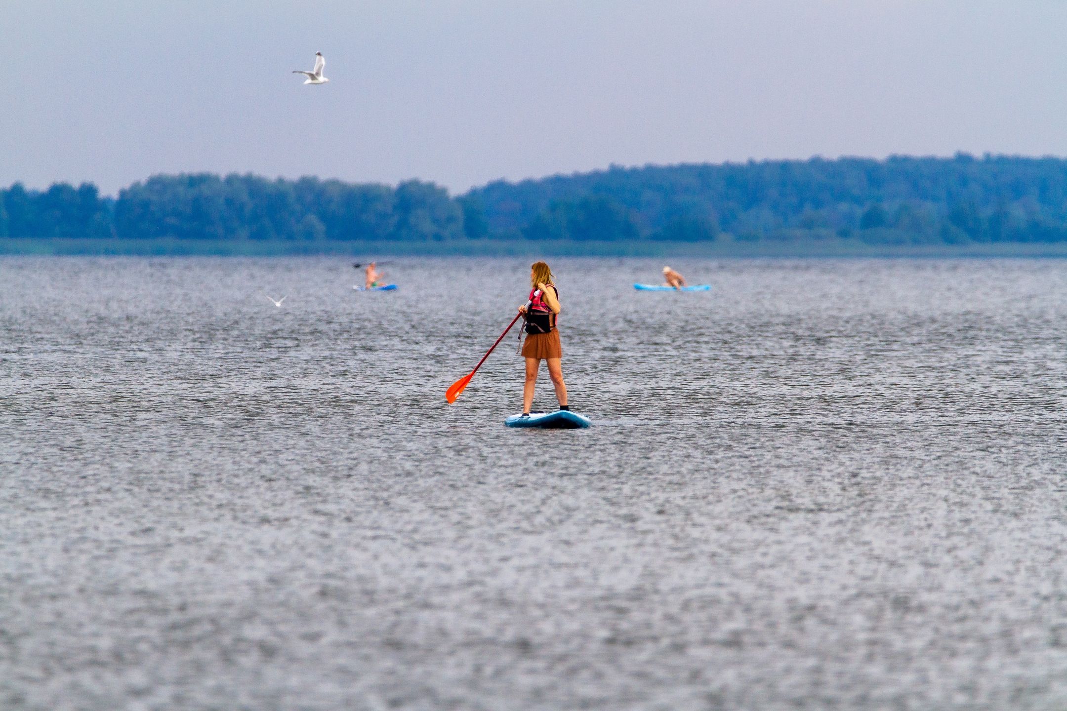Piotr Kardasdeska, deska sup, jezioro, woda, morski, kajak, plaza, lato, oceanu, sport, lud, urlop, charakter, frajda, jezior, baba, wybrzeze, odtwarzanie, niebo, podróż, przygoda, rzeka