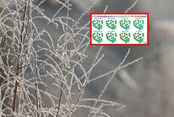 Tak przywita nas październik. Przymrozki i chłód w całej Polsce