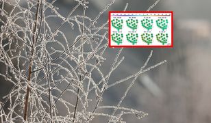 Tak przywita nas październik. Przymrozki i chłód w całej Polsce