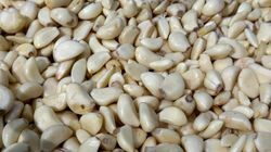 Czosnek zdrowy, ale nie dla każdego. Może wpływać na działanie tych leków