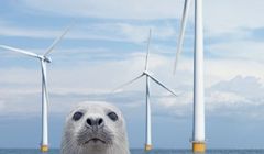 PGE startuje z kampanią nowej strategii marki