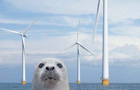 PGE startuje z kampanią nowej strategii marki