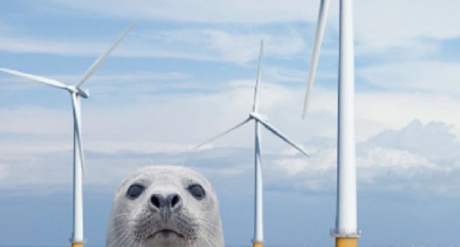 PGE startuje z kampanią nowej strategii marki