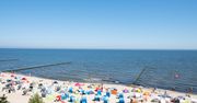 Wakacje 2020. Dzik gonił turystę na nadbałtyckiej plaży. Udostępniono nagranie