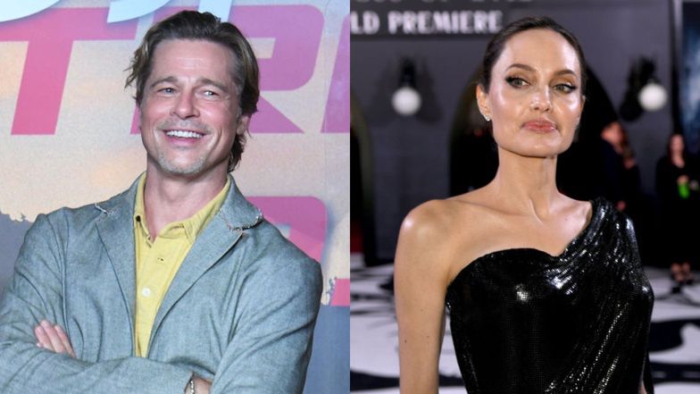 Brad Pitt regains control of shared vineyard in ongoing legal battle with Angelina Jolie