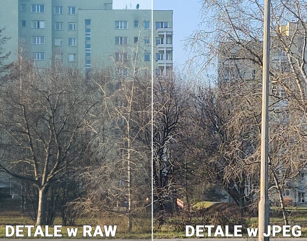Motorola One Zoom porównanie detale RAW JPEG