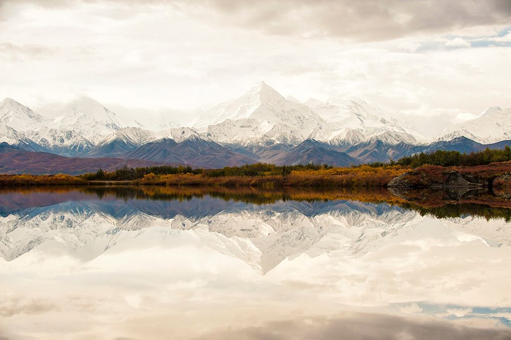 Piękna amerykańska przyroda na zdjęciach konkursu Wilderness Forever 8