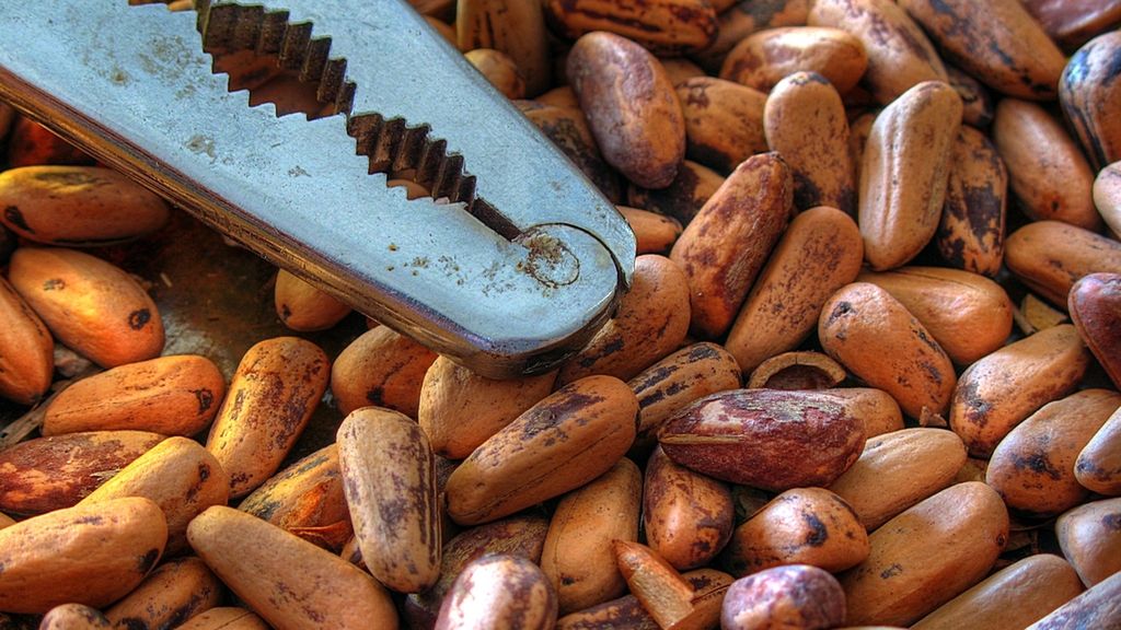 Kto będzie wygodnie miażdżył orzeszki? Kończymy konkurs Bulletstorm 1