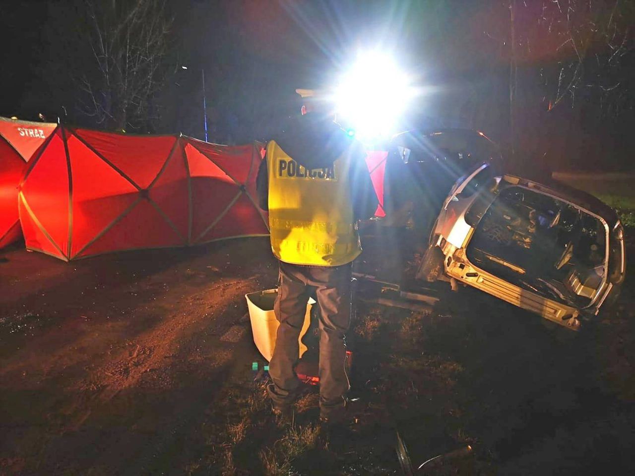 Śmiertelny wypadek w Wielkopolsce. Nie żyje 20-letni kierowca audi