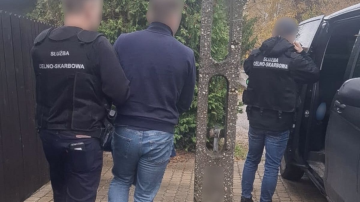 Zatrzymanie podejrzanego 