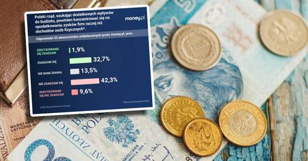 Podwyżki podatków to w Polsce tabu. Ekonomiści: czas je złamać [ANALIZA]