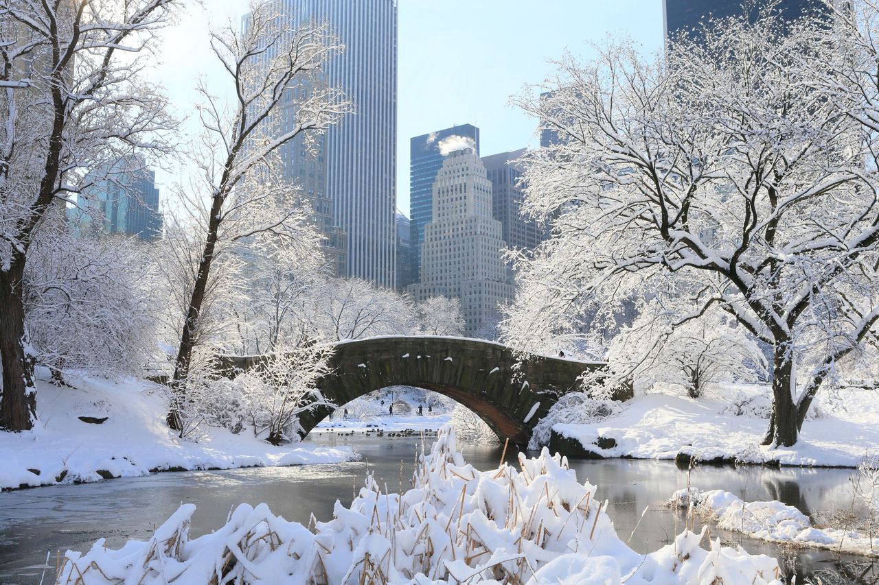 USA. Burza śnieżna paraliżuje Nowy Jork. Sieć zalewają zdjęcia