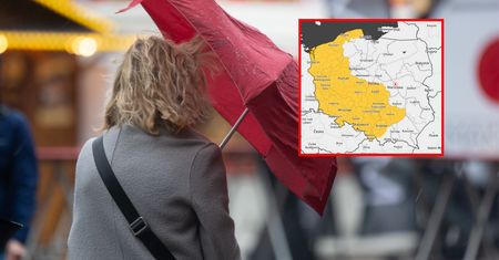 Do Polski nadchodzi silny wiatr. IMGW wydał alerty