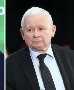 Ogromna przewaga PiS. Jest najnowszy sondaż