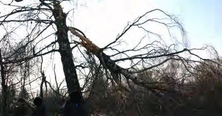 Dzisiaj mija 5. rocznica katastrofy w Smoleńsku (ZDJĘCIA)