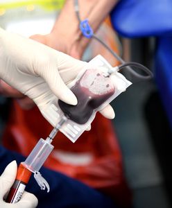 Wrocław. Druga wakacyjna akcja honorowego krwiodawstwa. Dodatkowy prezent za oddanie krwi