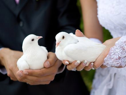 Trendy ślubne: gołębie na ceremonii