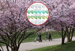 Wrócą przymrozki. Później uderzenie ciepła