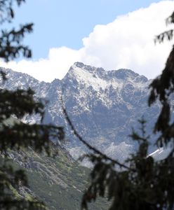 Tatry. Na szczytach mróz i śnieg. Rozpoczęło się rykowisko jeleni