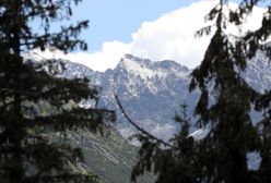 Tatry. Na szczytach mróz i śnieg. Rozpoczęło się rykowisko jeleni