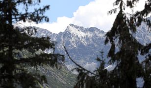 Tatry. Na szczytach mróz i śnieg. Rozpoczęło się rykowisko jeleni