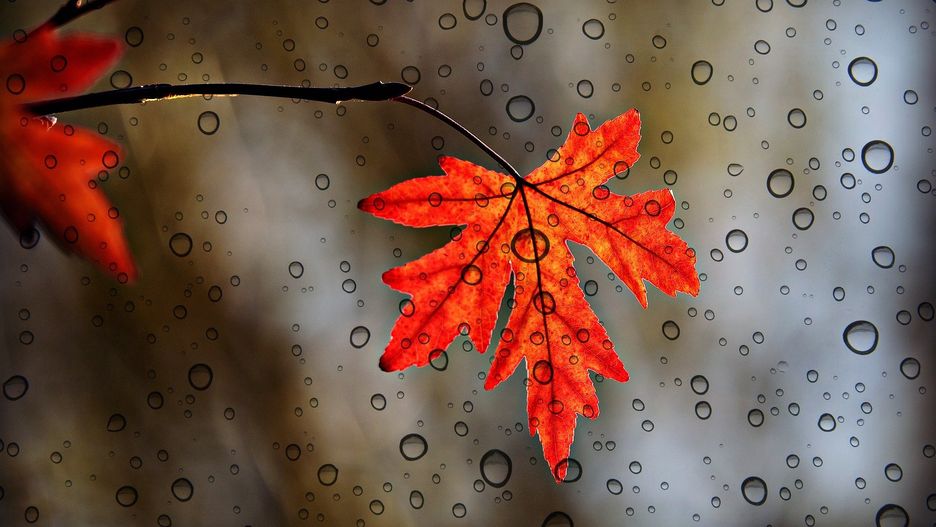Śląskie. Pogoda w czwartek pokaże swoją gorszą stronę. 