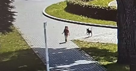 Czujność przechodnia uratowała dziecko. Matka była pod wpływem narkotyków