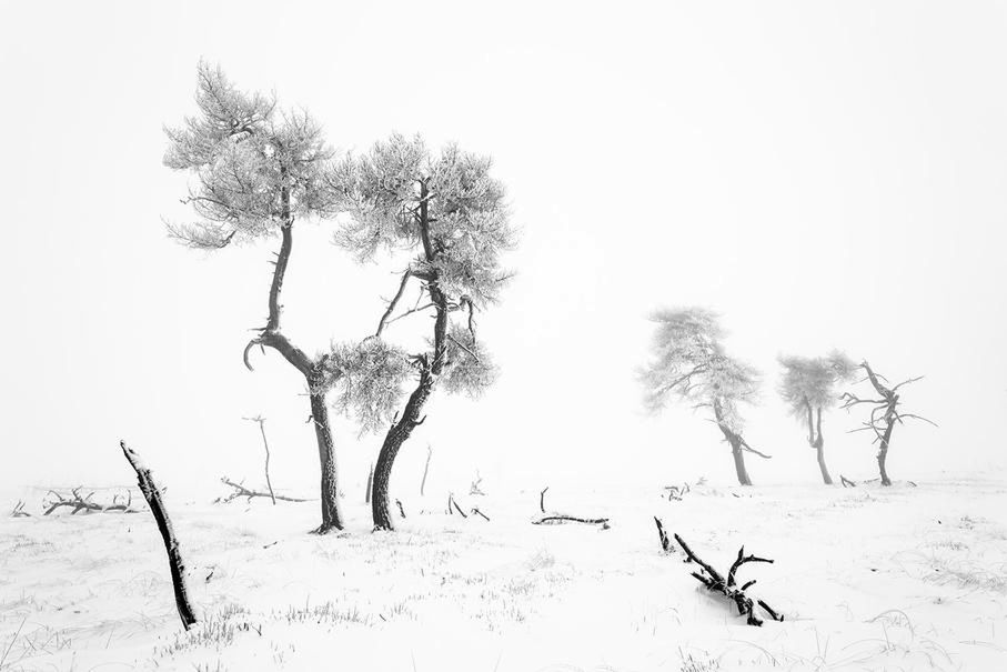 Zachwycająca natura Ziemi na zdjęciach z konkursu Nature Photographer of the Year 2015 14