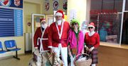 Łęczyca: Świąteczna akcja Uniwersytetu Trzeciego Wieku. Wręczyli prezenty najmłodszym pacjentom