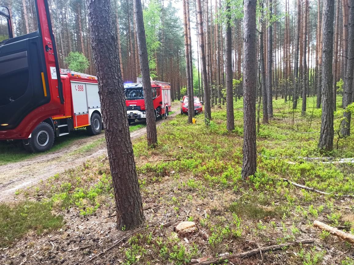 Pożar lasu w pobliżu Opola Lubelskiego. 11 zastępów straży pożarnej i helikopter gaśniczy w akcji (zdjęcia)