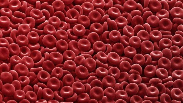 Zgadniecie, co to takiego? 1